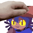 acariciarniko