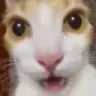 shocked