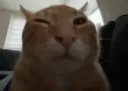Buh