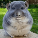 :bruh: