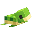 baby_turtle baby_turtle