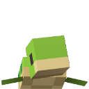 :baby_turtle_happy: