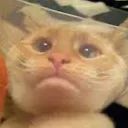 sadbitch sadbitch