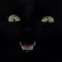 mrow_cat