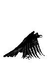b_crow