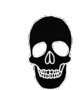 b_skull