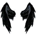 b_wings