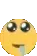 f1durrdroolbounce