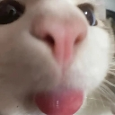 blep Discord sticker from Just Cum