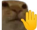 Halt