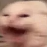 GETBACKTOWORK Discord emoji