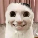 gewt