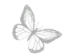 w_butterfly