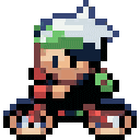 bikemerald animated Discord emote - Pokémon Champions