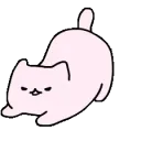 SMR_Cat_Wiggle SMR_Cat_Wiggle