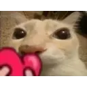 otaglove otaglove