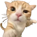 emoji_6