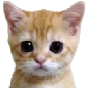 emoji_14