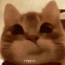 emoji_17
