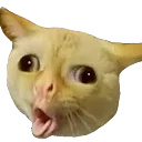 emoji_18
