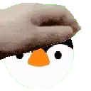 Pin_pet