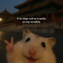 A hamster making a peace sign with text overlaid that reads in Spanish about being incredible.
