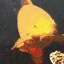 mhh