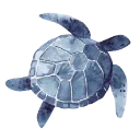603254blueturtle