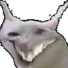 kittydormiscat