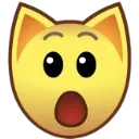 cat_surprised