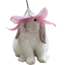 000_bunny