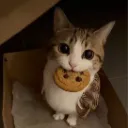 cookiemeowl