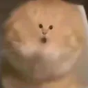big_head big_head
