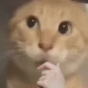 thinking thinking