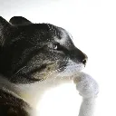 thinking