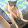 6fsh_999