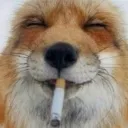 coolfox69 coolfox69
