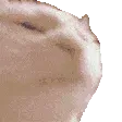 trigeredkot
