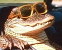 SR_lateralligator Discord Emoji | Shadowrift