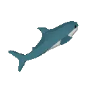blahaj