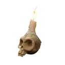 6819skullcandle