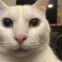 Stare