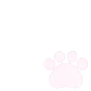 paw