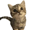 emoji_53