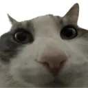 emoji_60