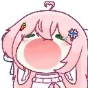 WowPopcat