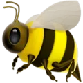 pscolkamaja