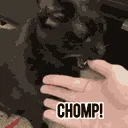 catnom