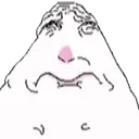 sady