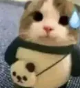 billi